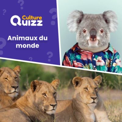 Animaux du Monde en vidéo - Quiz animalier #2