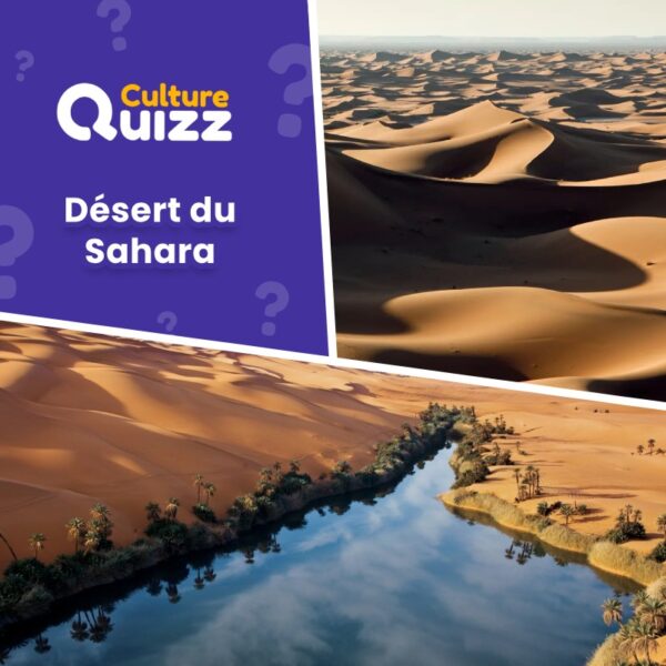 Le désert du Sahara - Quiz géographie africaine