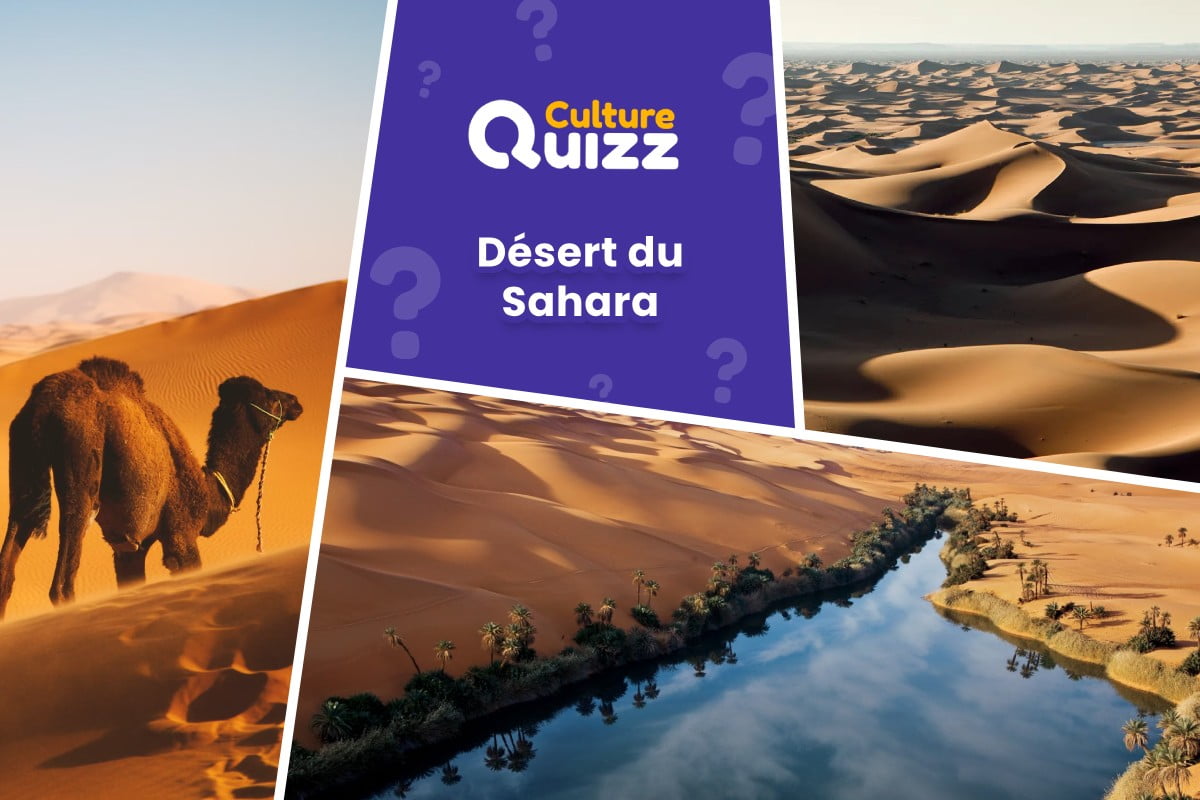 Quiz spécial Désert du Sahara - Le désert du Sahara - Quiz géographie africaine