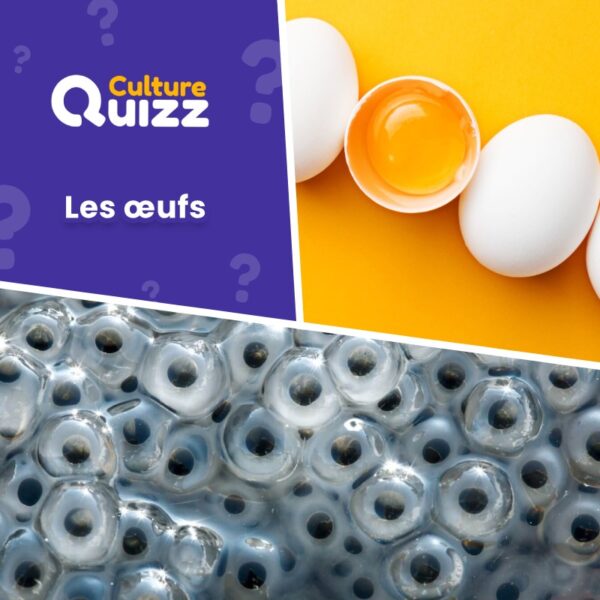 Testez vos connaissances sur les œufs - Quiz animaux