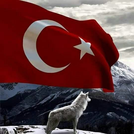 Quel est l’animal national de la Turquie ? 