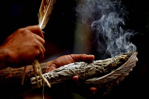 Quelle plante est traditionnellement brulée lors de rituels spirituels pour purifier et protéger les lieux ? 