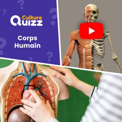 Répondez à nos questions sur le corps humain - Quiz en vidéo
