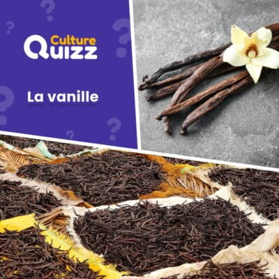 Quiz spécial sur la vanille - découvrez tous les mystères de cette épice