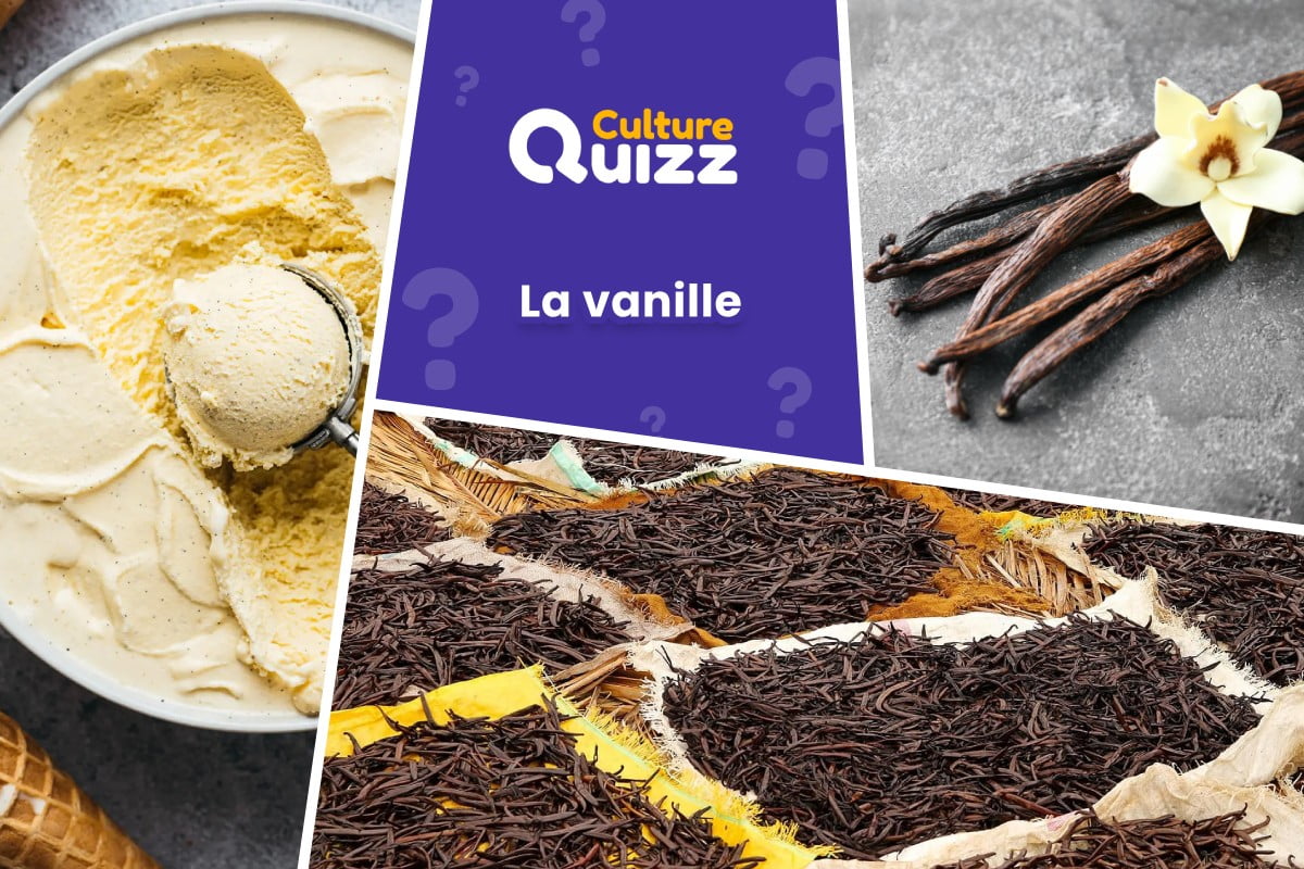 Quiz spécial Vanille - Quiz spécial sur la vanille - découvrez tous les mystères de cette épice