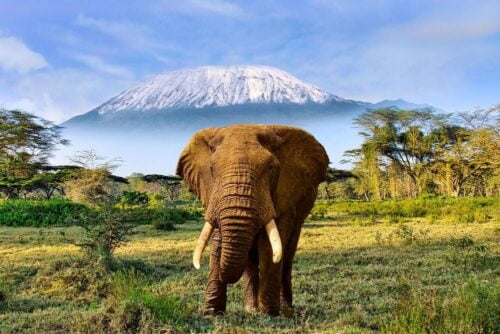 Quelle proposition désigne un pays d'Afrique ? 
