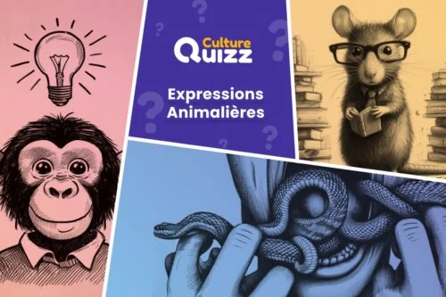 Quiz sur les expressions avec des animaux - test de langue française