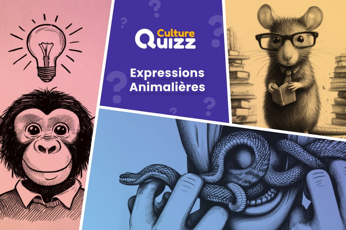 Quiz Expressions Françaises avec des Animaux - Quiz sur les expressions avec des animaux - test de langue française