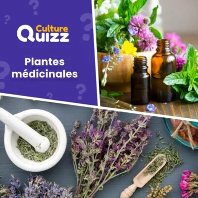 Testez vos connaissances sur les bienfaits des plantes - plantes médicinales