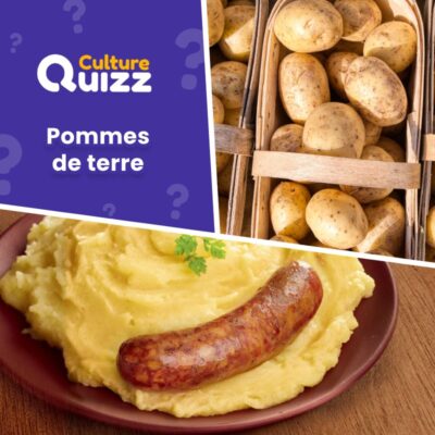 Quiz sur les pommes de terre, recettes, culture et vari&eacute;t&eacute;s de ce f&eacute;culent