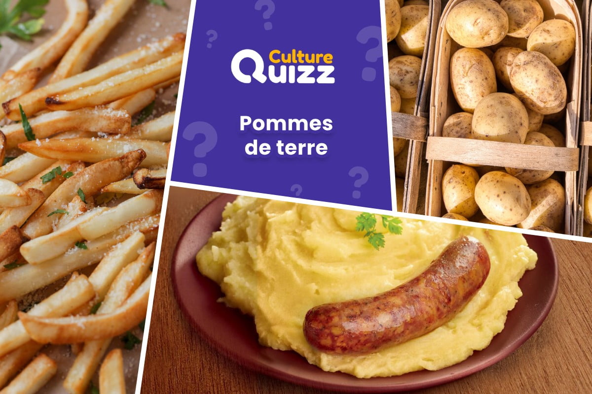 Quiz spécial Pommes de Terre - Quiz sur les pommes de terre, recettes, culture et variétés de ce féculent