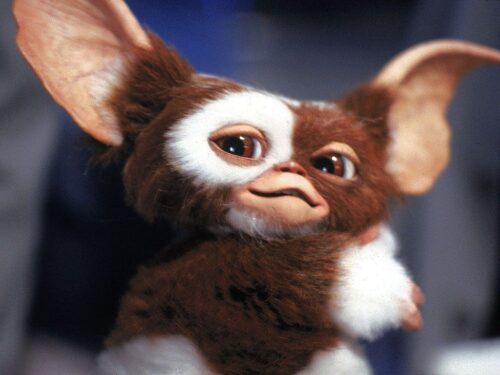 Laquelle de ces règles primordiales ne fait pas partie de celles à respecter dans le film Gremlins ? 