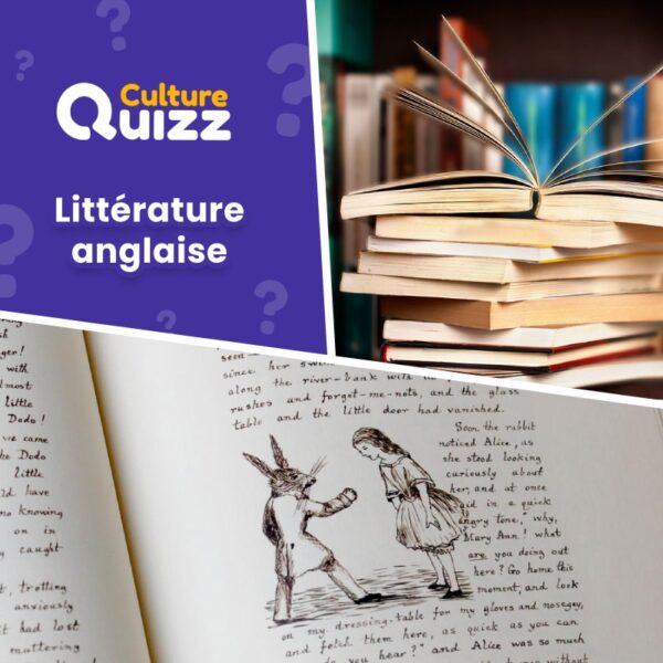 Testez vos connaissances sur les grands livres de la littérature anglaise avec des questions sur les grands succès de la littérature britannique et américaine.