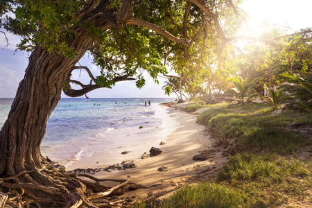 Dans quel département français se situe l’île de Marie-Galante ? 