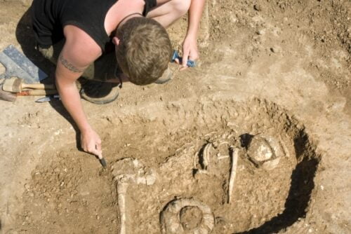 Quelle technique permet de déterminer l’époque d’une espèce ou d’un organisme ? 