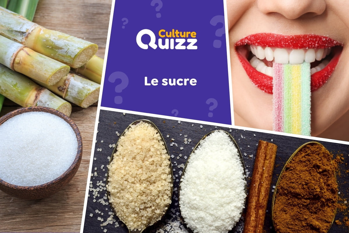 Quiz spécial Sucre - Quiz spécial sur le sucre : histoire, variétés, sciences