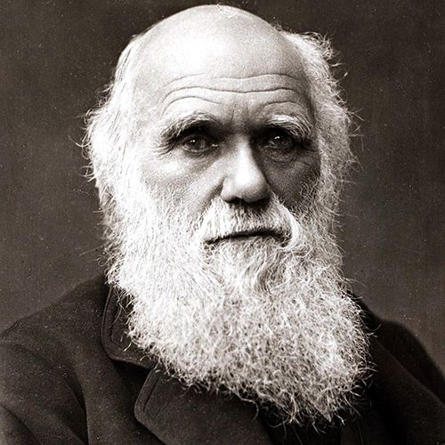 Quel scientifique anglais du XIXe a rédigé l’ouvrage “L’origine des espèces” dans lequel il expose sa célèbre théorie de l’évolution ? 
