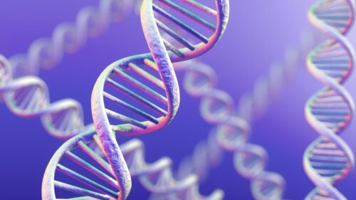 En biologie, quel est le nom complet de l’ADN contenant notre information génétique ? 