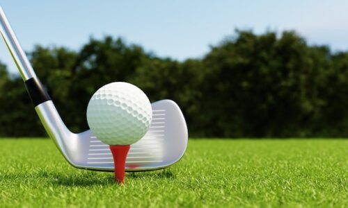 Sur quel petit morceau de bois ou de plastique pose-t-on la balle de golf au départ d’un trou ? 