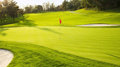 Quel club un golfeur utilise-t-il sur le green ? 