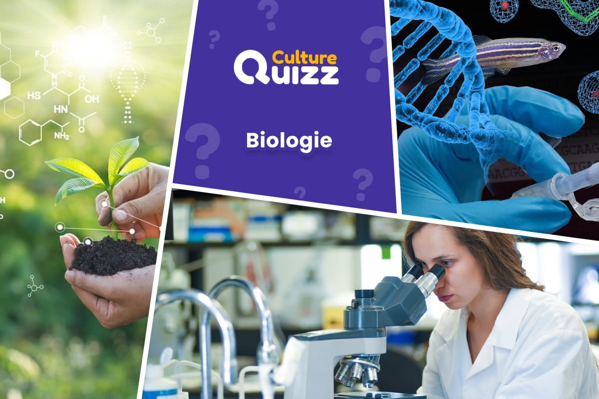 Quiz spécial Biologie - Quiz spécial biologie et l'étude des être vivants.