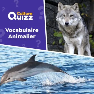 Vocabulaire Animalier : Faites le test pour connaitre votre niveau - Quiz Animaux