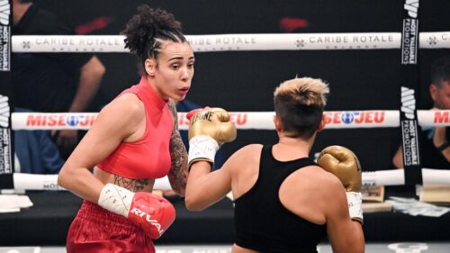 En boxe professionnelle, quelle catégorie est inférieure au poids mouches chez les femmes ? 