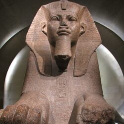 Le sphinx de tanis 