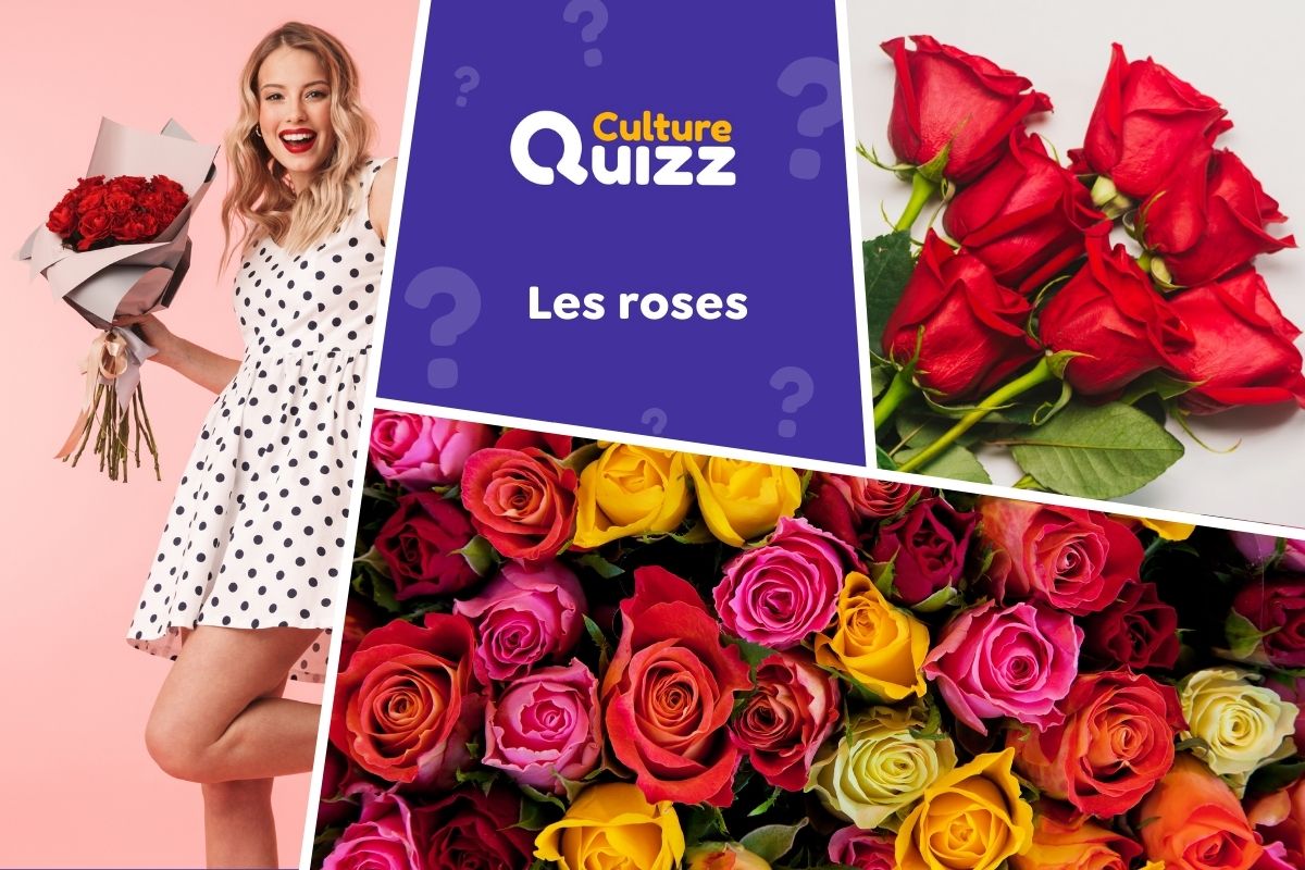 Quiz spécial Roses - Quiz spécial sur les roses - Saint Valentin