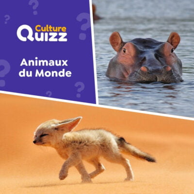 Testez vos connaissances sur les animaux du monde - Quiz Animaux