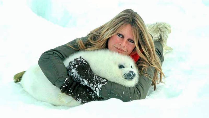 Avec quel animal, Brigitte Bardot pose-t-elle dans les bras en 1977 ? 