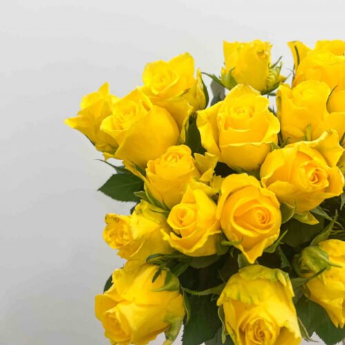 Offrir des roses de couleur jaune pour montrer son amour à la Saint-Valentin est une bonne idée. Vrai ou faux ? 