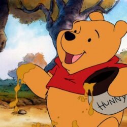 Winnie l’ourson 