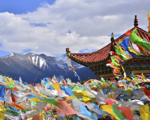 Quelle préparation de thé est une spécialité au Tibet ? 