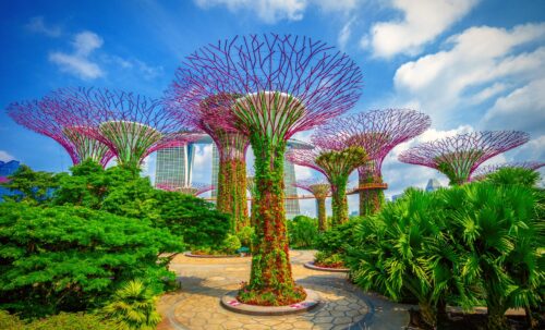 Quel est le nom de ce grand parc naturel urbain inauguré en 2012 et devenu immédiatement un emblème de Singapour ? 