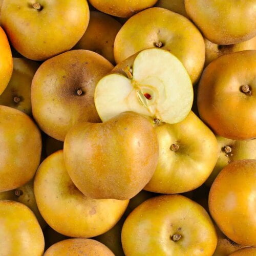 Quelle variété de pomme est connue pour sa couleur marron grise ? 