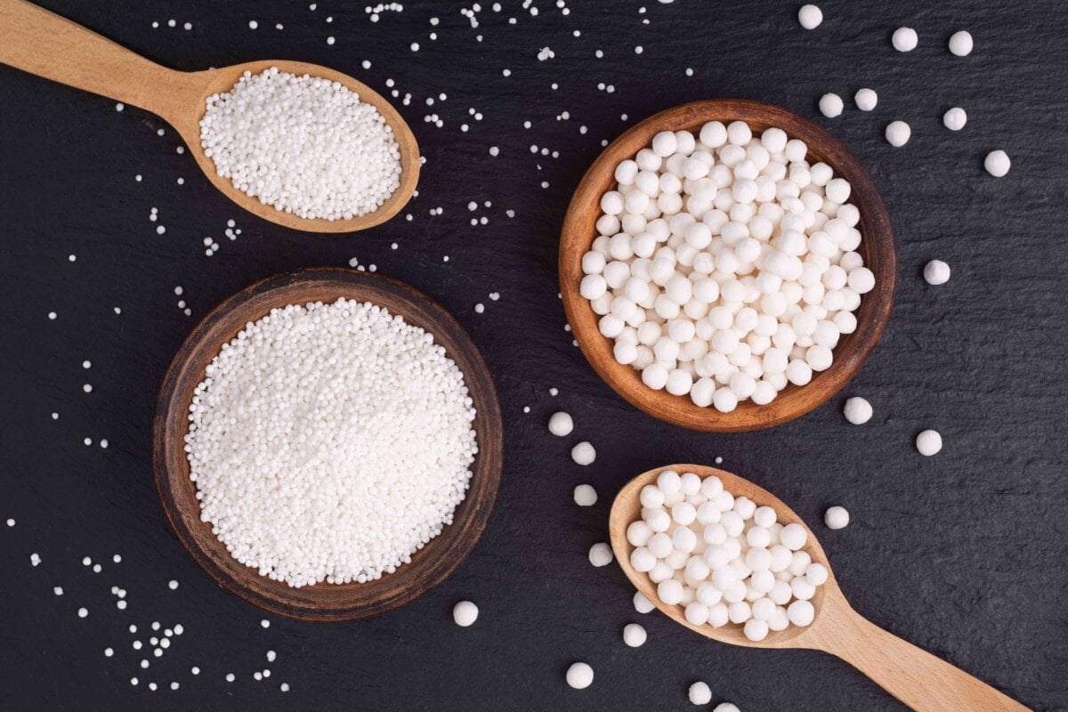 De quel végétal le tapioca provient-il ? 