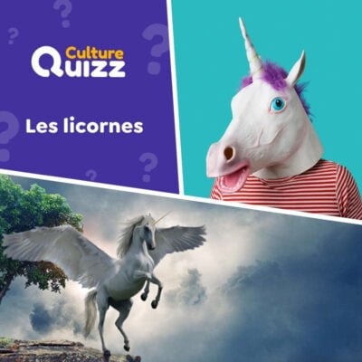 Quiz sp&eacute;cial sur les Licornes