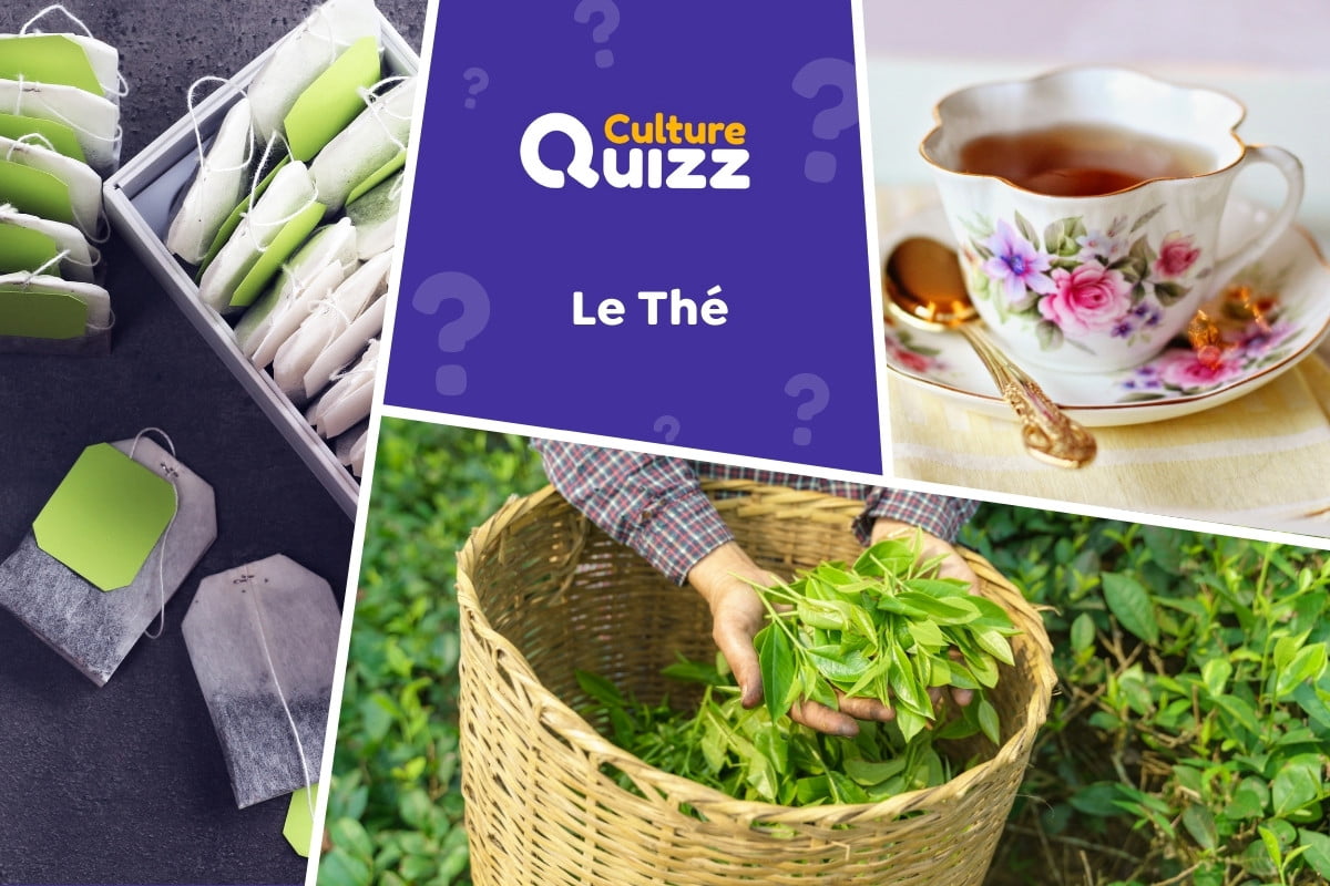 Quiz spécial Thé - Quiz sur le thé : l'une des boissons les plus populaires au monde.
