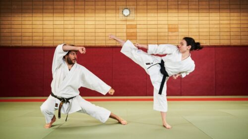 Quel terme japonais est utilisé dans les arts martiaux pour signaler différents niveaux de maîtrise ou d’expérience ? 