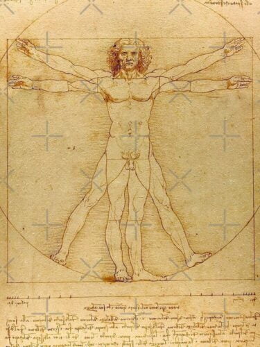 Quel est le nom de ce dessin de Léonard de Vinci ? 