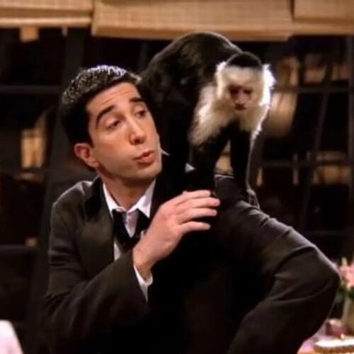 Quel est le nom du singe domestique de Ross ? 