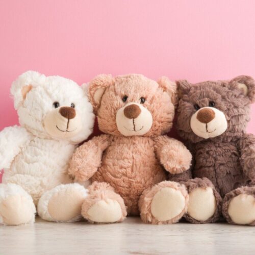 Quel mot est l'équivalent d’un nounours chez les québécois ? 