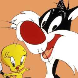 Sylvestre le chat (Grosminet) 
