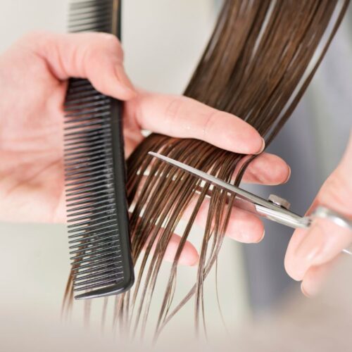 Comment écrit-on le verbe “faire” dans cette phrase : Elles se sont ___ couper les cheveux ? 