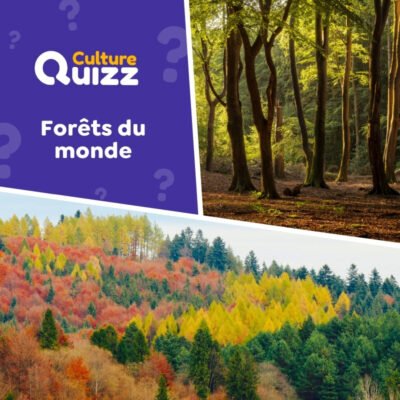 Quiz sp&eacute;cial for&ecirc;ts et &eacute;tendues bois&eacute;es du monde - Notre Plan&egrave;te