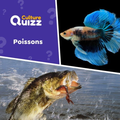 Quiz sp&eacute;cial sur les poissons du monde - Questionnaire th&eacute;matique animale