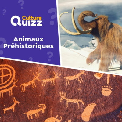 Quiz spécial animaux préhistoriques