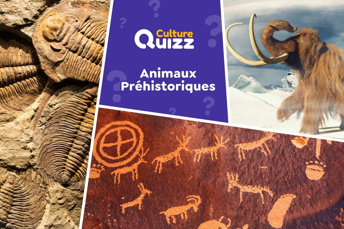 Quiz Animaux Préhistoriques - Quiz spécial animaux préhistoriques