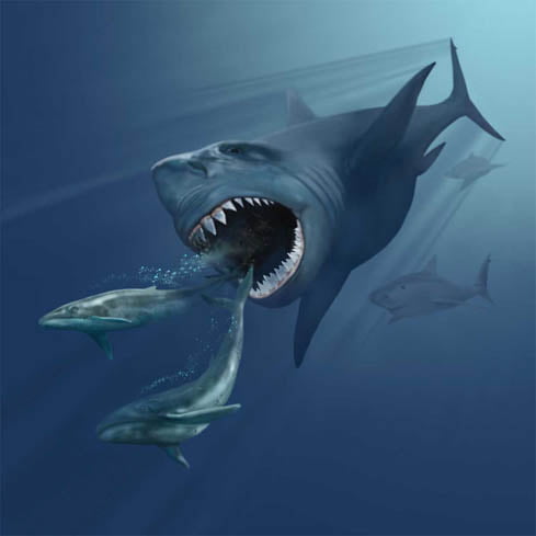 Quelle espèce de requins aujourd’hui éteinte est considérée comme le plus grand requin prédateur ayant vécu sur Terre ? 